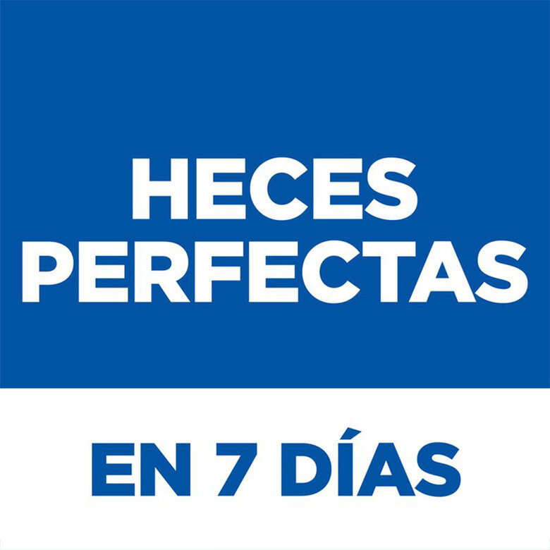 Hill’s SP Perfect Digestion Medium pienso para perros image number null